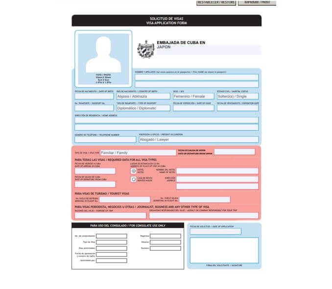 visaapplicationform
