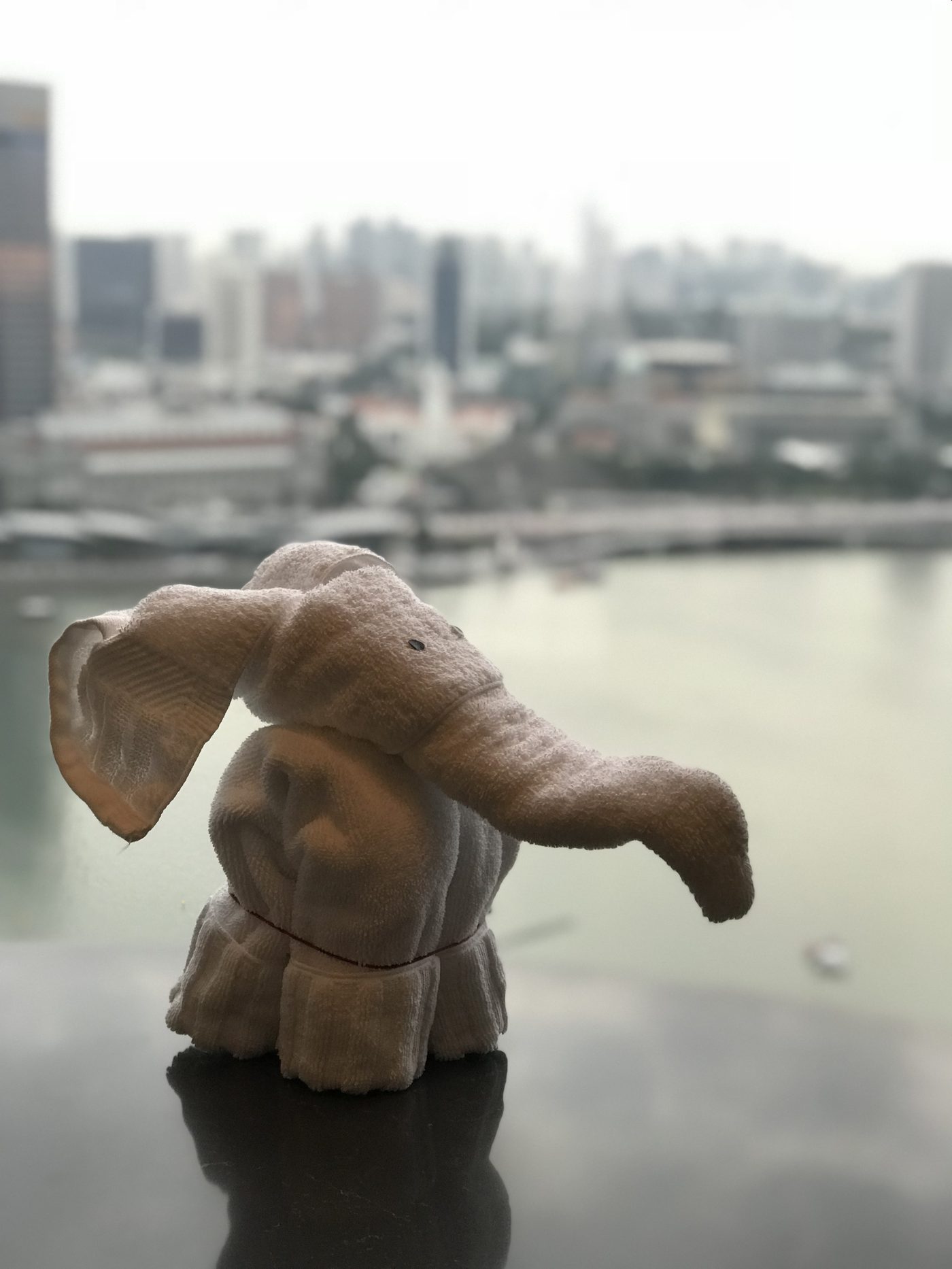 マリーナベイサンズ客室の窓辺に置かれたタオルで作られたゾウのタオルアート